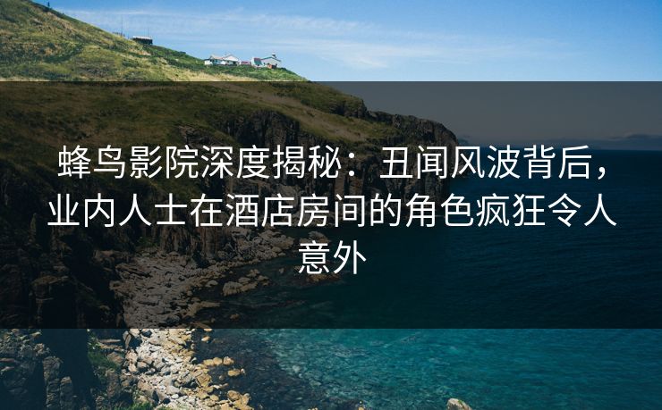 蜂鸟影院深度揭秘：丑闻风波背后，业内人士在酒店房间的角色疯狂令人意外